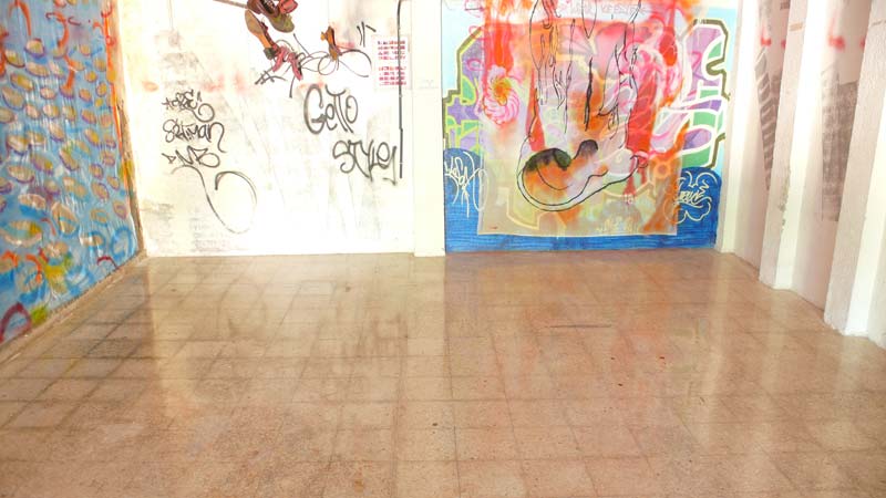 Muro del Hangar13 con grafitti y pintura sobre visillo. Copia de Flor laberinto. Tntas de litografa y aerosoles sobre visilo. 355 x 200 cm. Villaverde, Madrid 2009